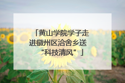 黄山学院学子走进徽州区洽舍乡送“科技清风”
