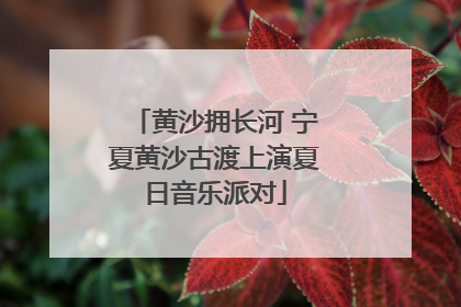 黄沙拥长河 宁夏黄沙古渡上演夏日音乐派对