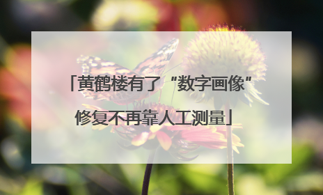 黄鹤楼有了“数字画像” 修复不再靠人工测量