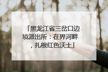 黑龙江省三岔口边境派出所：在界河畔，扎根红色沃土