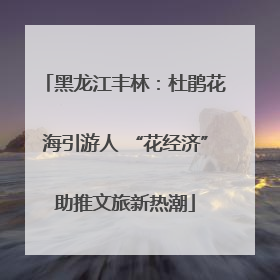 黑龙江丰林：杜鹃花海引游人 “花经济”助推文旅新热潮