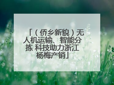 （侨乡新貌）无人机运输、智能分拣 科技助力浙江杨梅产销