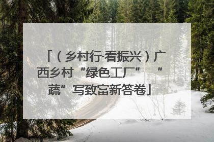 （乡村行·看振兴）广西乡村“绿色工厂” “蔬”写致富新答卷