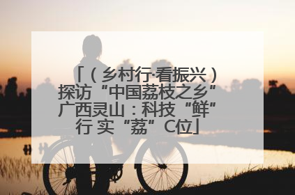 （乡村行·看振兴）探访“中国荔枝之乡”广西灵山：科技“鲜”行 实“荔”C位