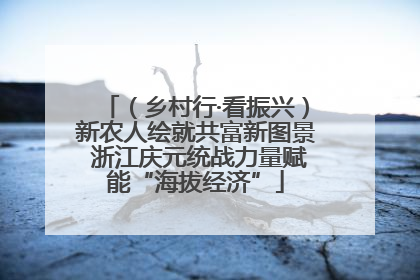 （乡村行·看振兴）新农人绘就共富新图景 浙江庆元统战力量赋能“海拔经济”