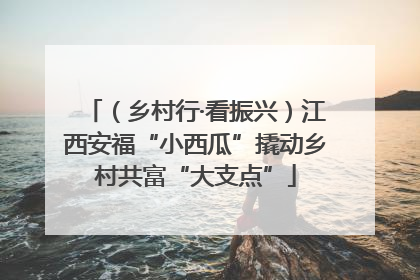 （乡村行·看振兴）江西安福“小西瓜”撬动乡村共富“大支点”