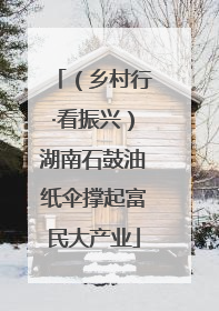 （乡村行·看振兴）湖南石鼓油纸伞撑起富民大产业