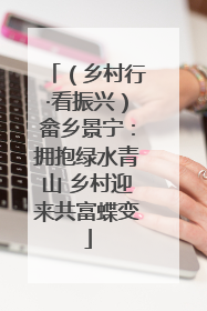 （乡村行·看振兴）畲乡景宁：拥抱绿水青山 乡村迎来共富蝶变