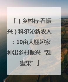 （乡村行·看振兴）科尔沁新农人：10亩大棚起家种出乡村振兴“甜蜜果”
