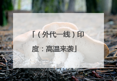 （外代一线）印度：高温来袭