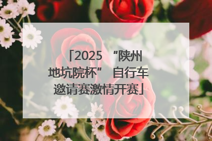 2025 “陕州地坑院杯” 自行车邀请赛激情开赛