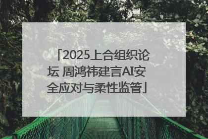 2025上合组织论坛 周鸿祎建言AI安全应对与柔性监管