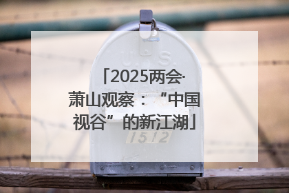 2025两会·萧山观察：“中国视谷”的新江湖