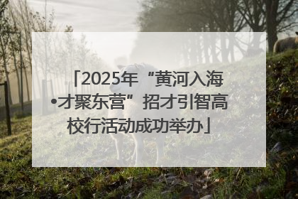 2025年“黄河入海•才聚东营”招才引智高校行活动成功举办