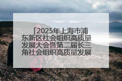2025年上海市浦东新区社会组织高质量发展大会暨第二届长三角社会组织高质量发展峰会成功举办