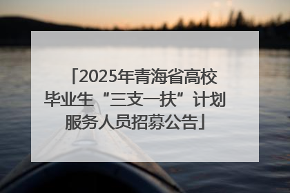 2025年青海省高校毕业生“三支一扶”计划服务人员招募公告