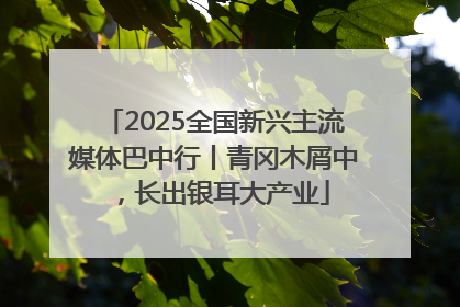2025全国新兴主流媒体巴中行丨青冈木屑中，长出银耳大产业