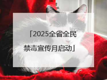 2025全省全民禁毒宣传月启动