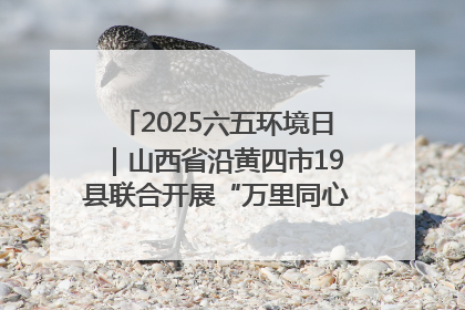 2025六五环境日｜山西省沿黄四市19县联合开展“万里同心，共护黄河”环保志愿者助力一泓清水入黄河公益活动