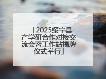 2025绥宁县产学研合作对接交流会暨工作站揭牌仪式举行