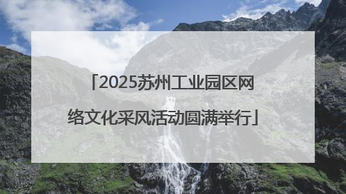 2025苏州工业园区网络文化采风活动圆满举行