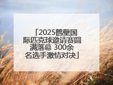 2025鹤壁国际匹克球邀请赛圆满落幕 300余名选手激情对决