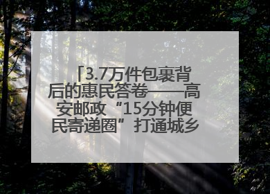 3.7万件包裹背后的惠民答卷——高安邮政“15分钟便民寄递圈”打通城乡服务末梢