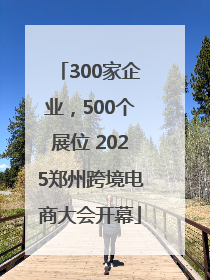 300家企业，500个展位 2025郑州跨境电商大会开幕