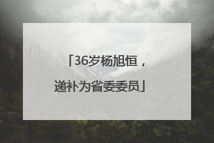 36岁杨旭恒，递补为省委委员