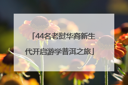 44名老挝华裔新生代开启游学普洱之旅