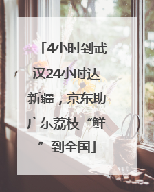 4小时到武汉24小时达新疆，京东助广东荔枝“鲜”到全国