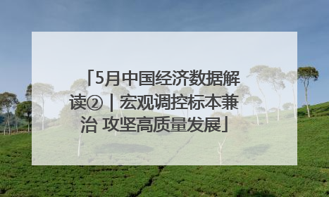 5月中国经济数据解读②｜宏观调控标本兼治 攻坚高质量发展