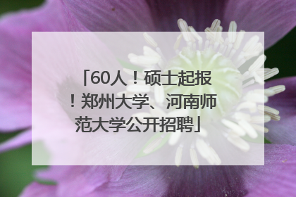 60人！硕士起报！郑州大学、河南师范大学公开招聘