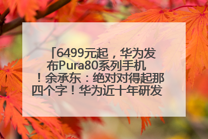 6499元起，华为发布Pura80系列手机！余承东：绝对对得起那四个字！华为近十年研发投入12490亿元