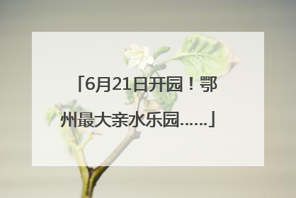6月21日开园！鄂州最大亲水乐园……