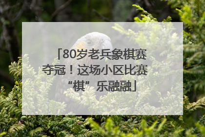 80岁老兵象棋赛夺冠！这场小区比赛“棋”乐融融