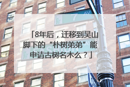 8年后，迁移到吴山脚下的“朴树弟弟”能申请古树名木么？
