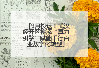 9月投运！武汉经开区将添“算力引擎”赋能千行百业数字化转型