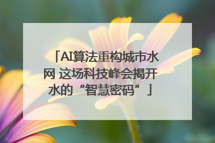 AI算法重构城市水网 这场科技峰会揭开水的“智慧密码”