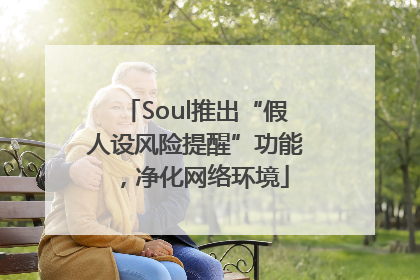 Soul推出“假人设风险提醒”功能，净化网络环境