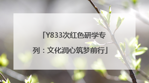 Y833次红色研学专列：文化润心筑梦前行